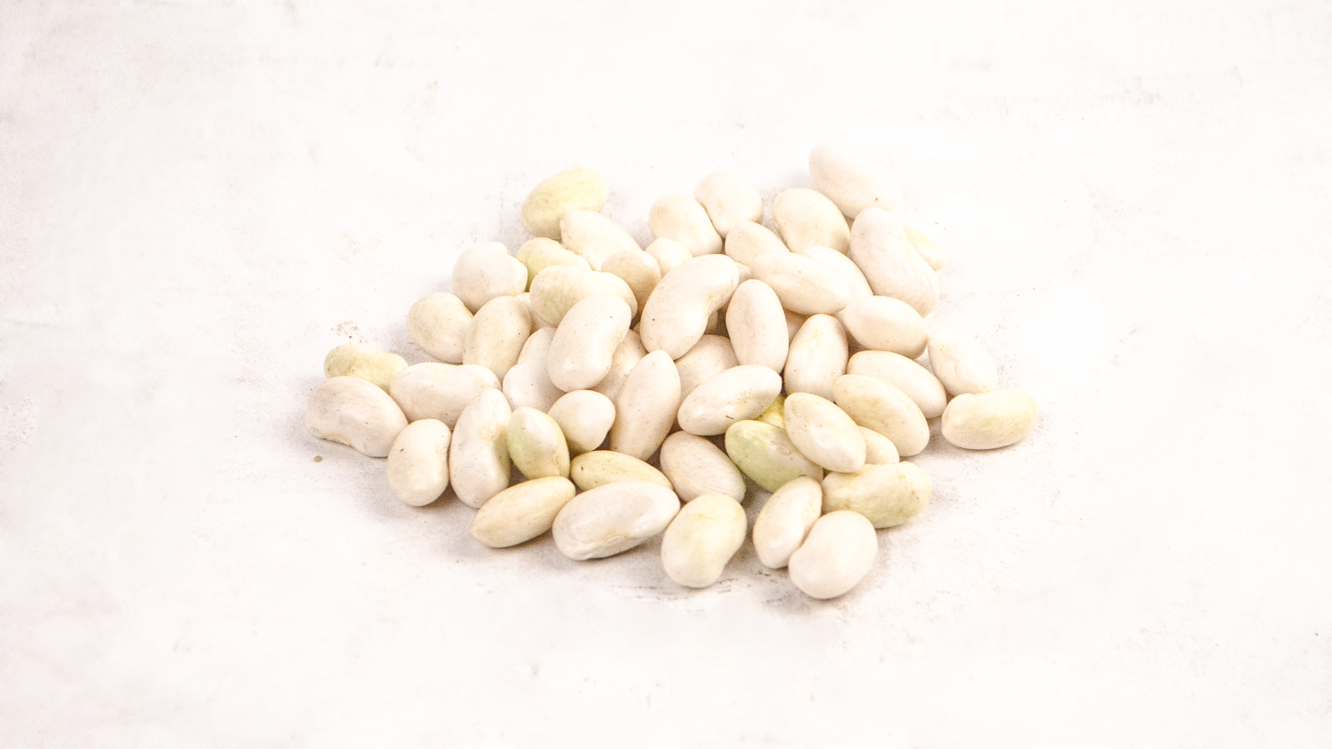 palbohnen-deutschland-lose