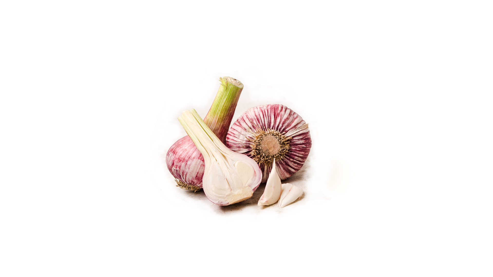 knoblauch-frisch-rose-frankreich