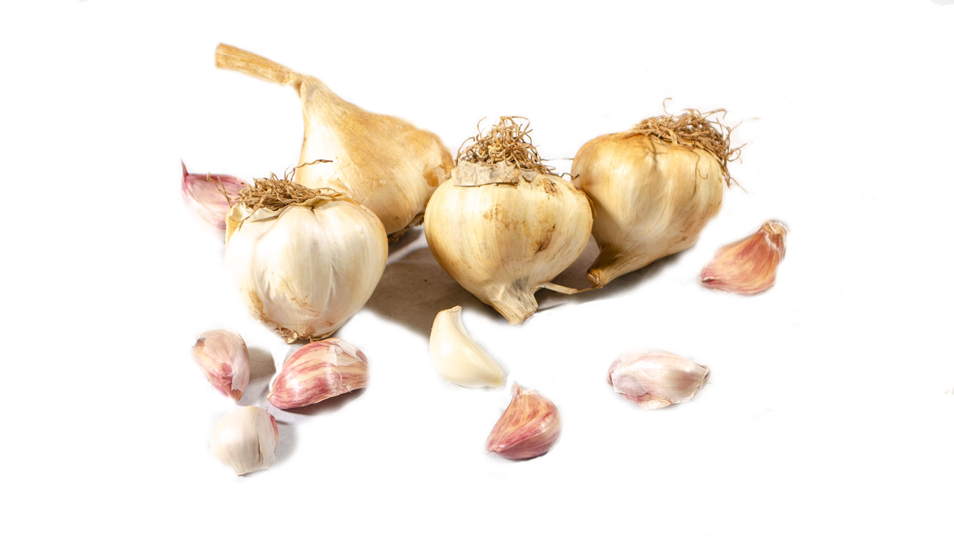 Knoblauch geräuchert getrocknet-Frankreich