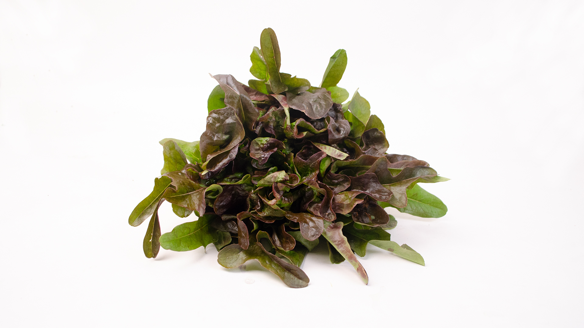 fingersalat-dunkel