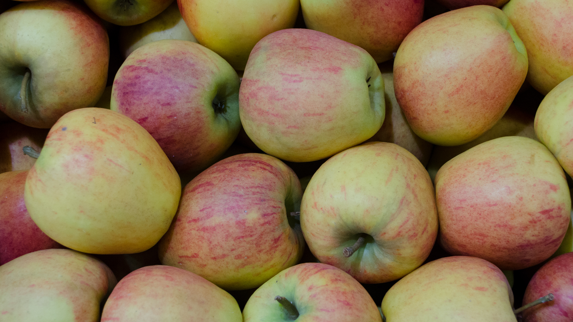 Apfel Civni Kiste