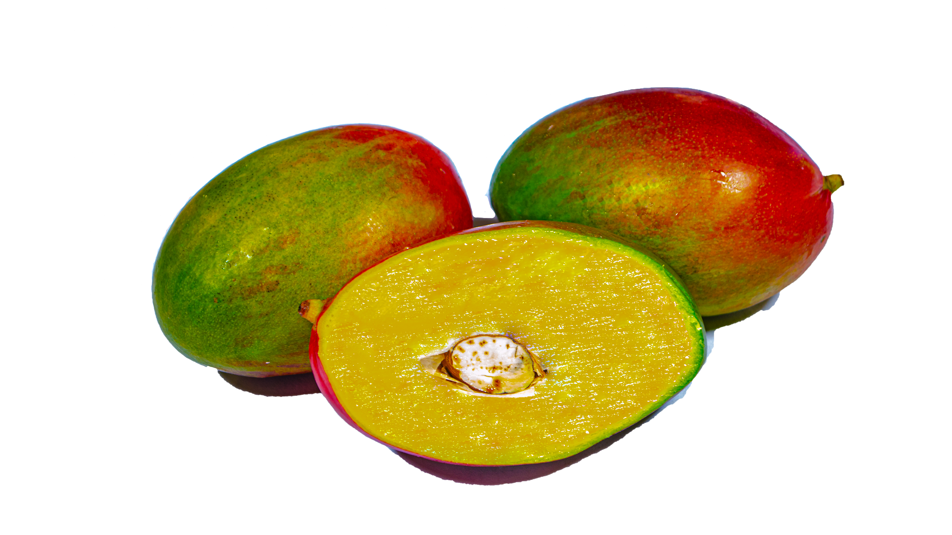 Mango Palmer Kiste