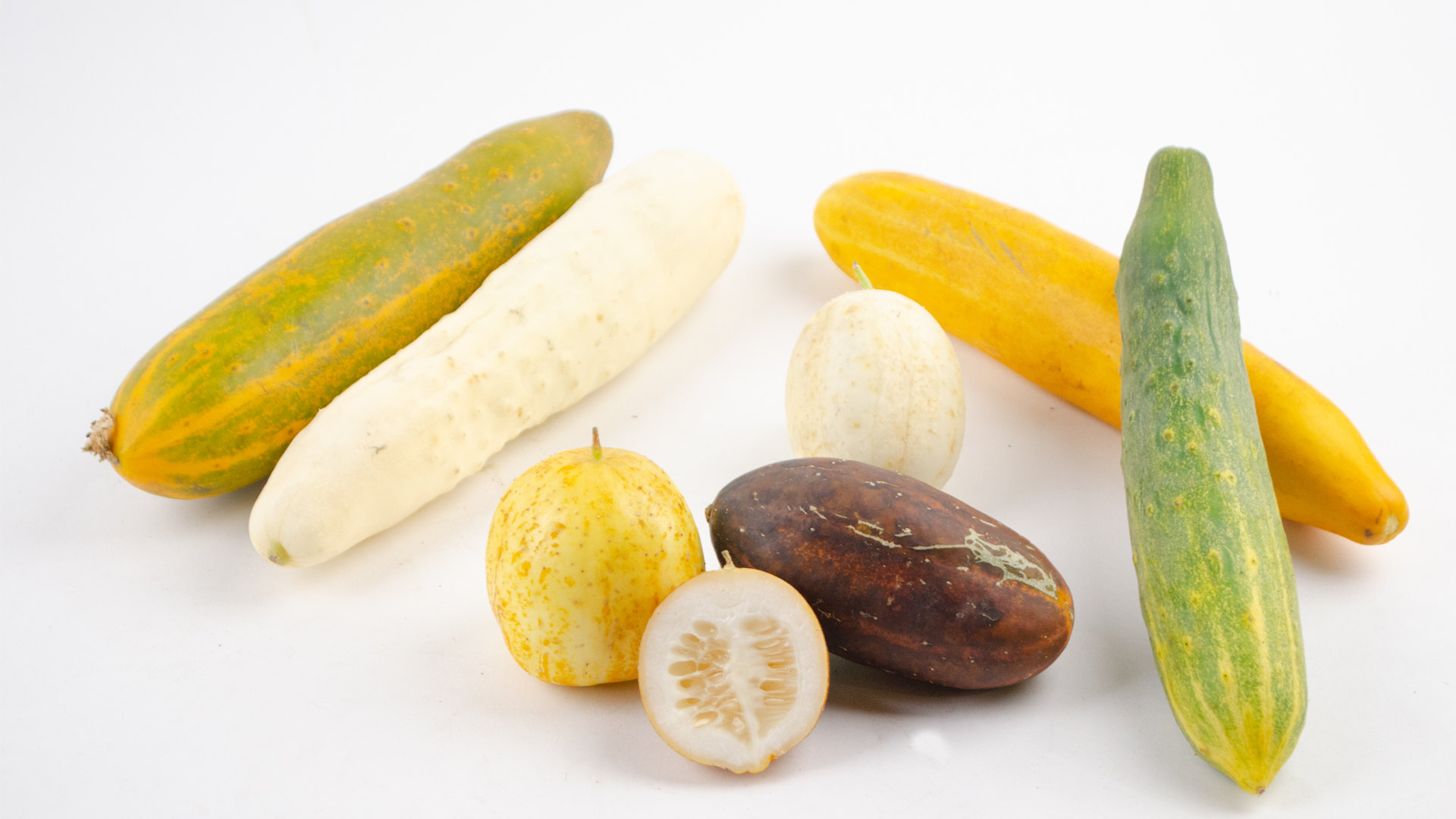 Gurken-MixTsBXolFlqNPcy