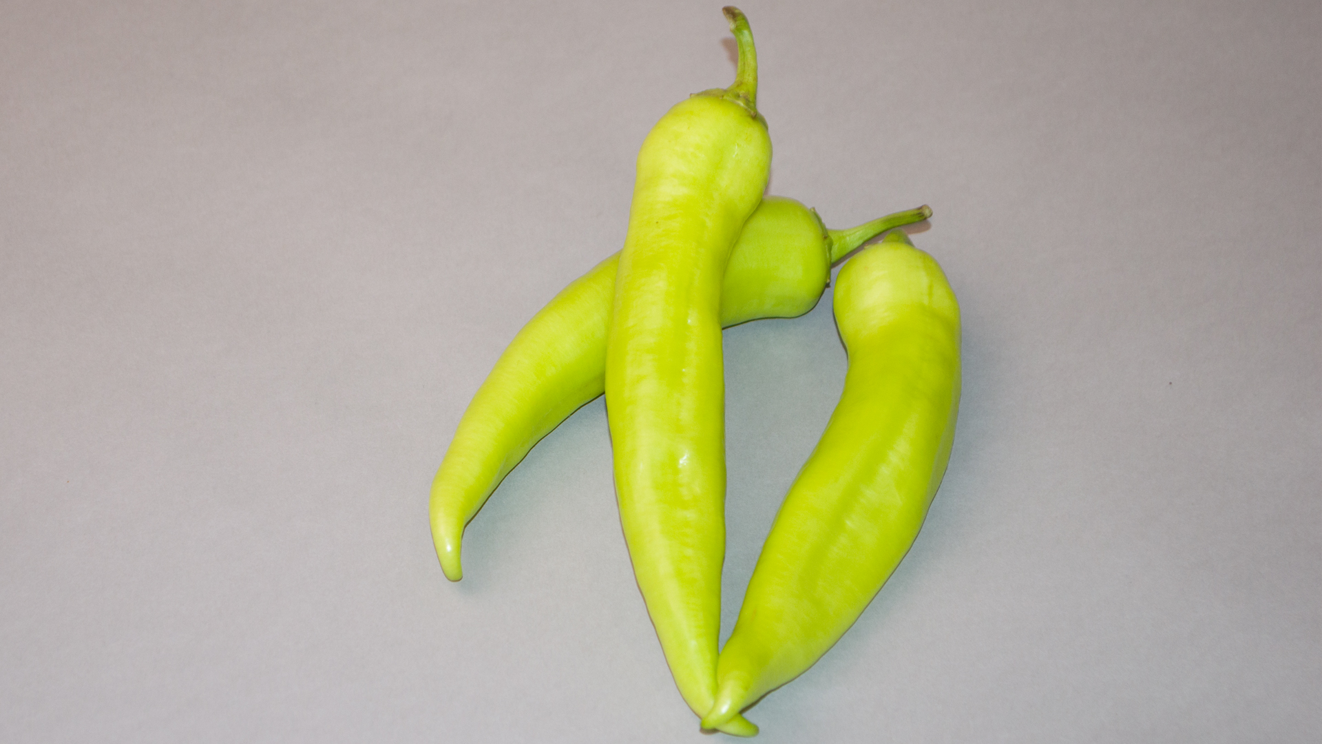 Paprika Charly grün